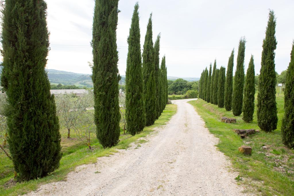 Podere Il Tigliolo Castiglione dʼOrcia Buitenkant foto