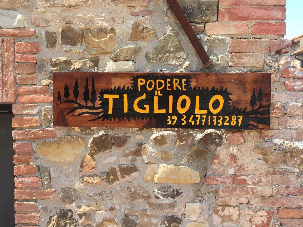 Podere Il Tigliolo Castiglione dʼOrcia Buitenkant foto