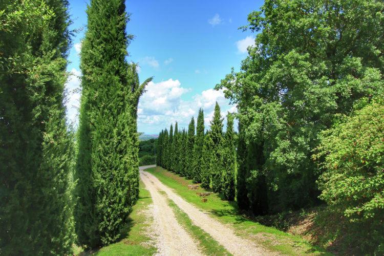 Podere Il Tigliolo Castiglione dʼOrcia Buitenkant foto